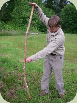 bow making instructions - finding the back bow making instructions - finding the back