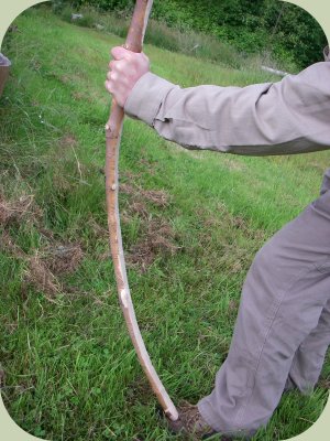 bow making instructions - testing the shape