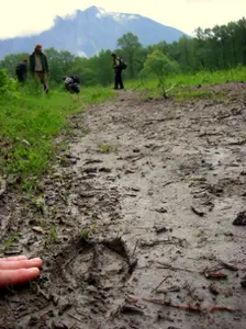 wildlife trailing course