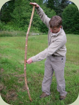 bow making instructions - finding the back