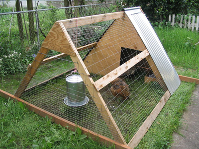 completed chicken tractor