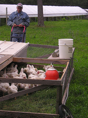 chicken tractor on wheels