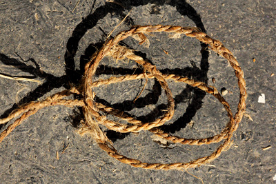 How to Make Cordage out of Sinew –