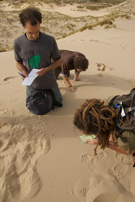 closely studying small tracks