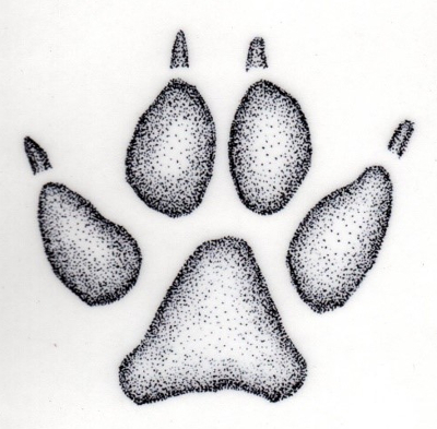 cat-shaped dog track