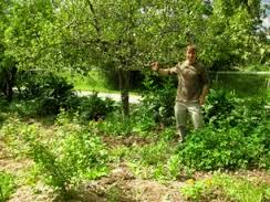 Jason Knight in the food forest