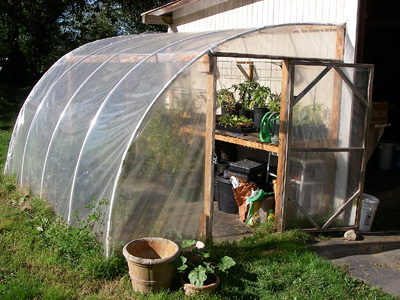 greenhouse capturing heat in barrels of water