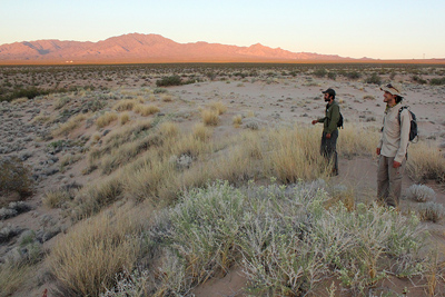 mojave desert landscape