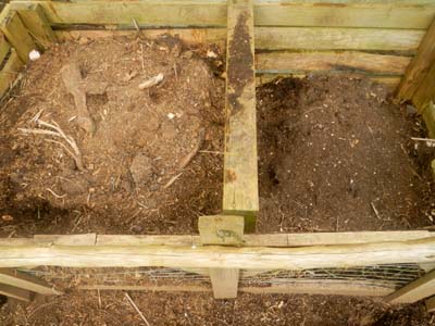 close-up of composting process