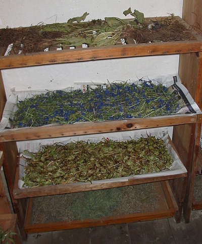 racks for drying herbs