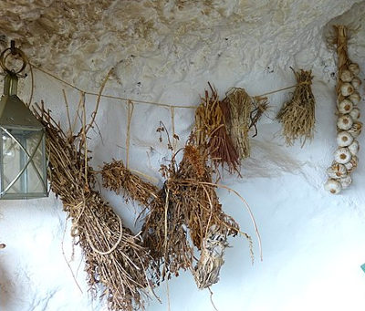 hanging herbs to dry