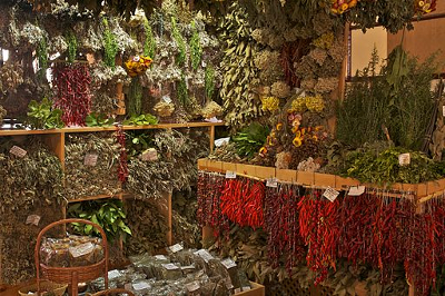 dried herbs at a market
