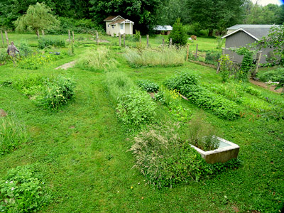 the garden at Alderleaf