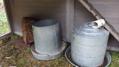 metal feeder and water container