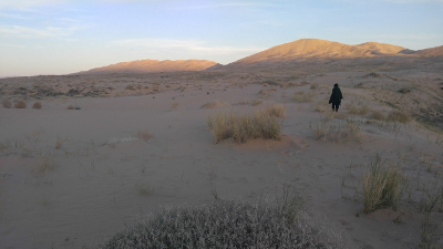 human tracking in central Washington