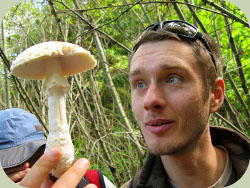 wild mushroom identification class