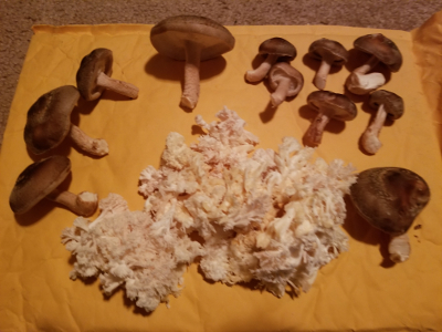 shiitake and lion's mane mushrooms