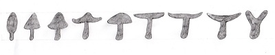 cap shape diagram