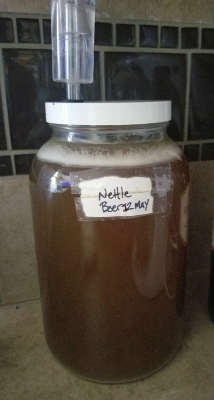 brewing nettle beer