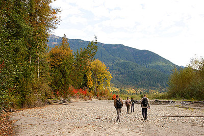 students trailing on a bright fall day