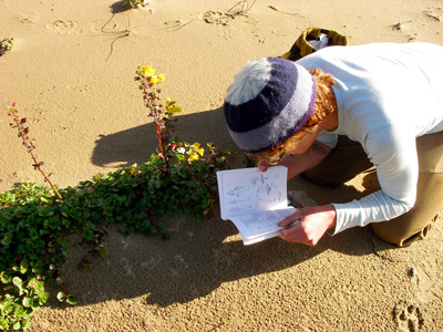 student studying plant identification