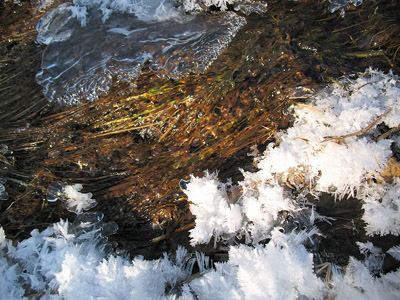 partially frozen creek