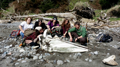 students with gray whale skull