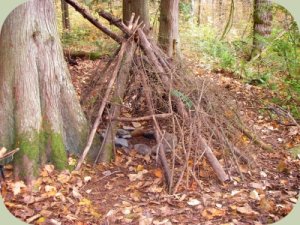 building a wilderness survival shelter