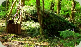 wilderness survival skills intensive course