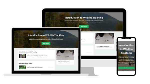 wildlife tracking online course 1