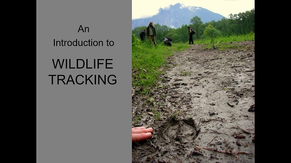 wildlife tracking online course module 1