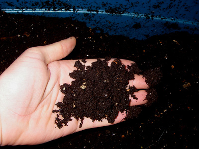 worm composting system