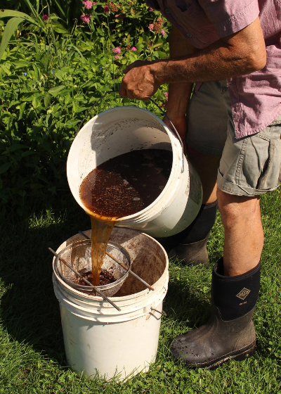 making compost tea