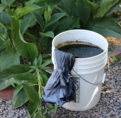 compost tea extract