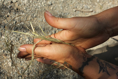 buffing nettle fibers