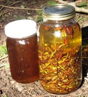 cottonwood oil infusing