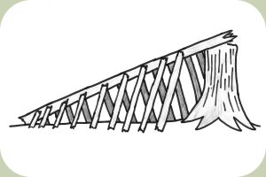 debris hut basics