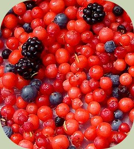 wild edible berries mix