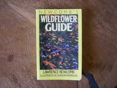 Newcomb's wildflower identification guide