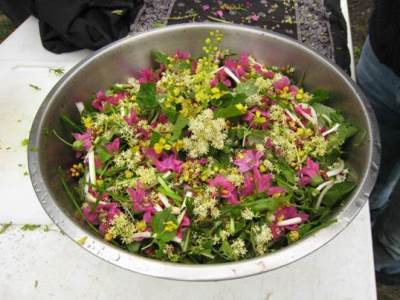 salad that contains edible wildflowers
