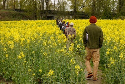 foraging hike