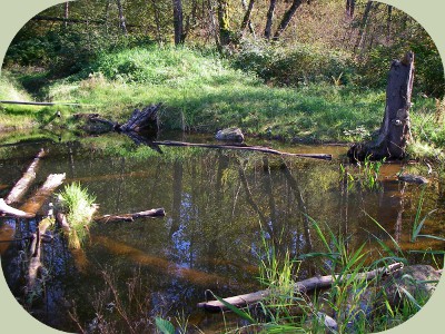 farm ponds