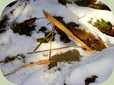 figure four deadfall trap