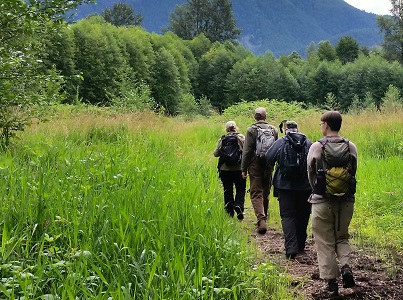 foraging bonus plant walk