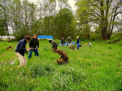 foraging module 1 safety and ethics