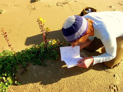 foraging module 2 plant identification