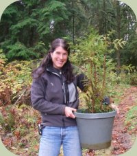 forest stewardship course photo cedar sapling