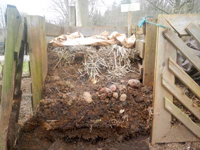 homemade compost bin opened to show layers