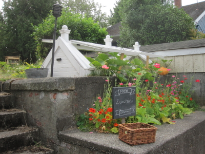 urban gardening