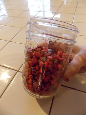 jar of hawthorn fruits